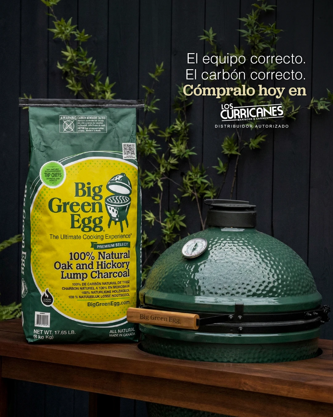 Carbón Big Green Egg Oak and Hickory junto a un Egg: el equipo correcto, el carbón correcto