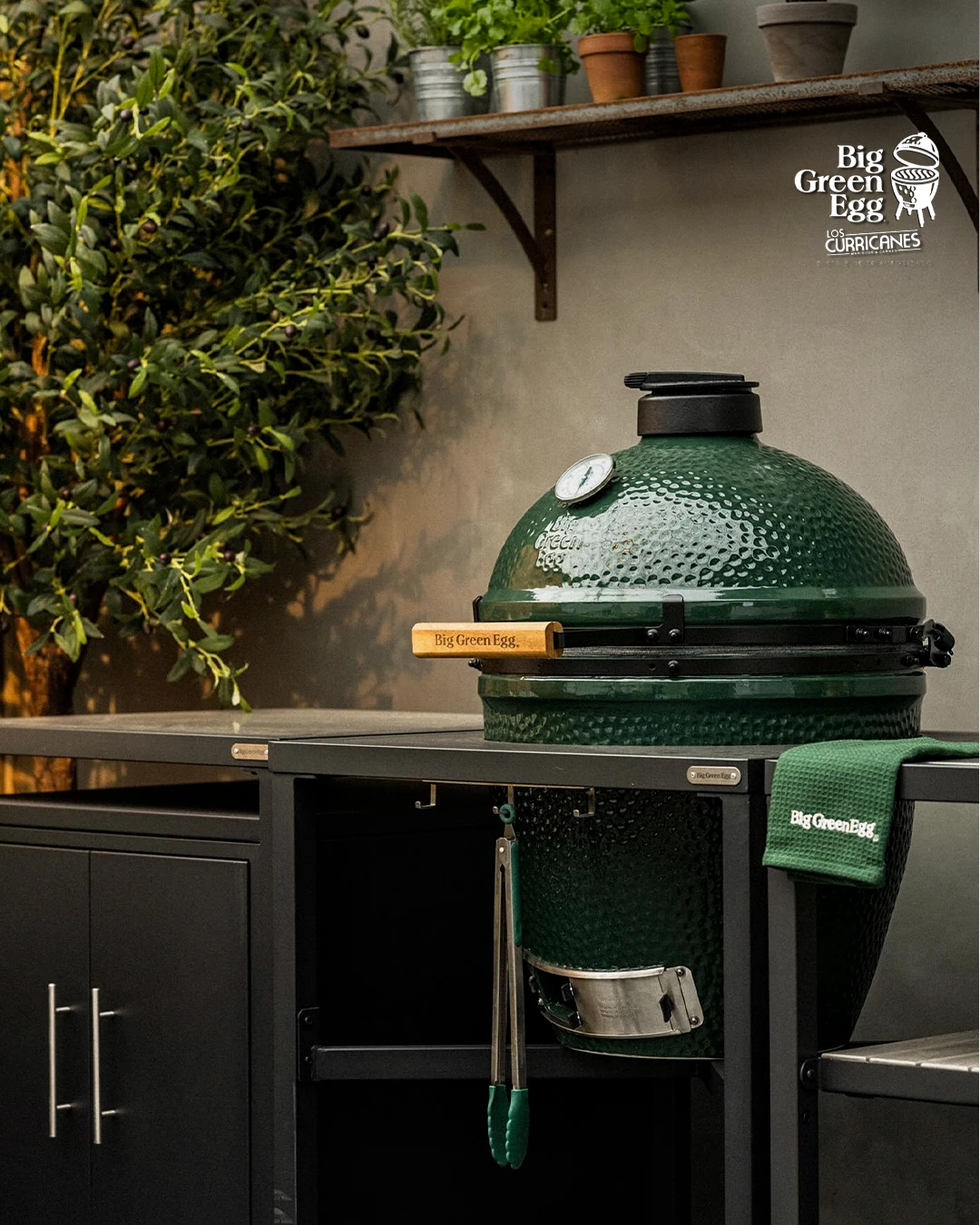 Egg integrado en una cocina modular negra