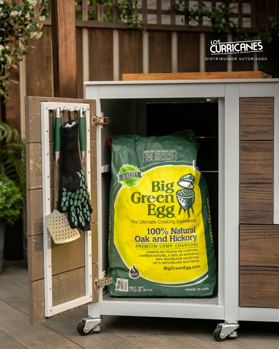 Gabinete con carbón, guantes y espátula para el Egg